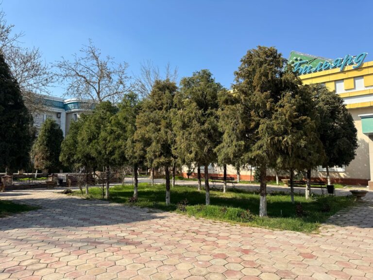 Изображение WhatsApp 2025-05-01 в 11.31.59_ffb57d85